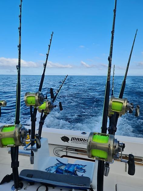 The show goes on Cavalier & Blue Marlin Sport Fishing Gran Canaria