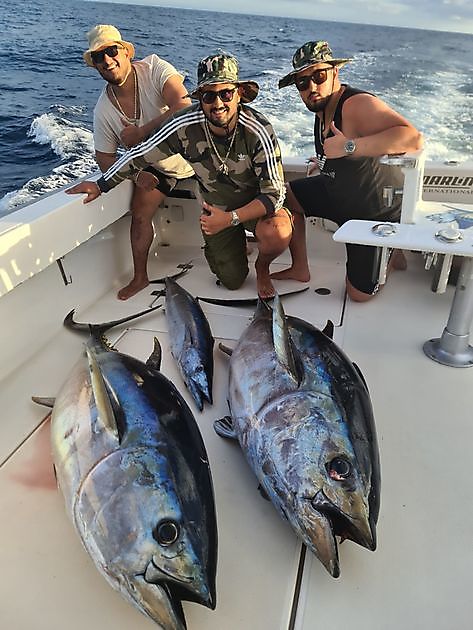 Geweldige  vangsten - Cavalier & Blue Marlin Sport Fishing Gran Canaria