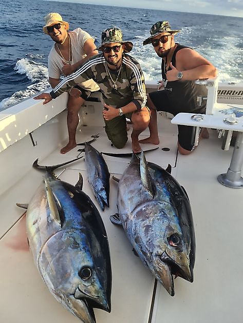 Pesca incredibile - Cavalier & Blue Marlin Sport Fishing Gran Canaria