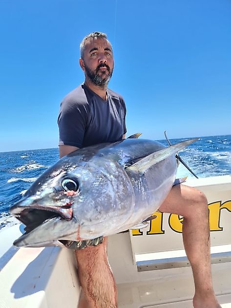 Grootoogtonijn - Cavalier & Blue Marlin Sport Fishing Gran Canaria