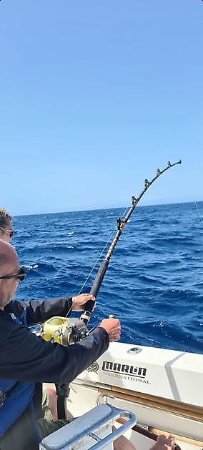 Tonno Pinna Rossa Doble Strike - Cavalier & Blue Marlin Sport Fishing Gran Canaria
