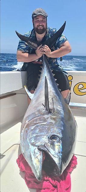 300 libras de atún patudo - Pesca Deportiva Cavalier & Blue Marlin Gran Canaria
