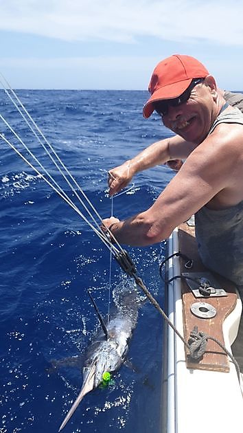 100 kg Blauwe Marlijn - Cavalier & Blue Marlin Sport Fishing Gran Canaria