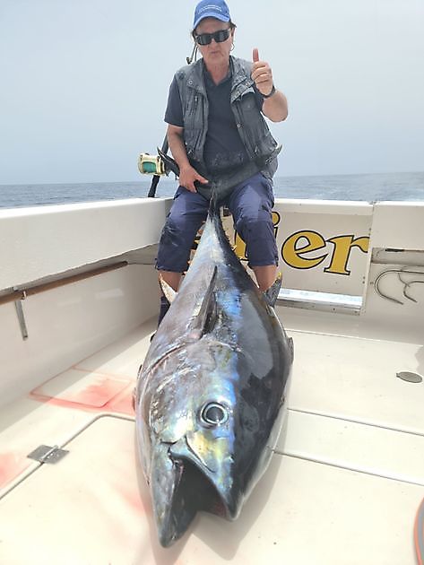 Tonno Obeso - Cavalier & Blue Marlin Sport Fishing Gran Canaria