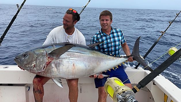 1/2 Tonno Occhi Grandi - Cavalier & Blue Marlin Sport Fishing Gran Canaria