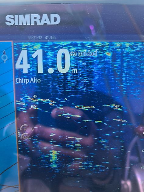 Sfortunato - Cavalier & Blue Marlin Sport Fishing Gran Canaria