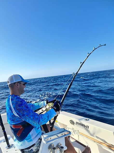 1/2 Marlin Blu - Cavalier & Blue Marlin Sport Fishing Gran Canaria
