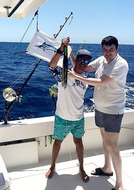 450 lb Blue Marlin + 1 lb de teléfono móvil Released. - Cavalier & Blue Marlin Sport Fishing Gran Canaria