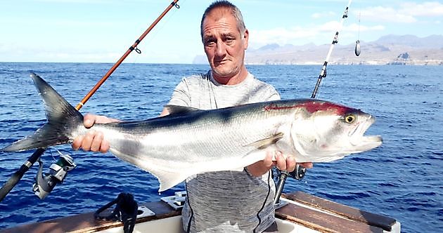 Pez rey - Pesca Deportiva Cavalier & Blue Marlin Gran Canaria