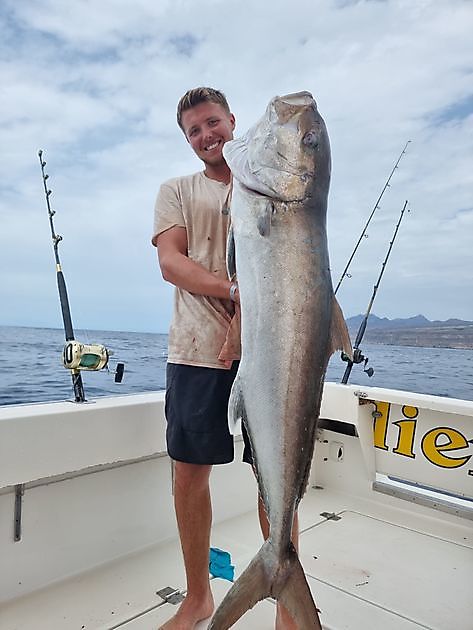 Enorme medregal - Pesca Deportiva Cavalier & Blue Marlin Gran Canaria