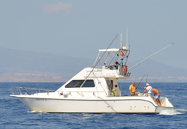 Cavalier - Cavalier & Blue Marlin Sport Fishing Gran Canaria