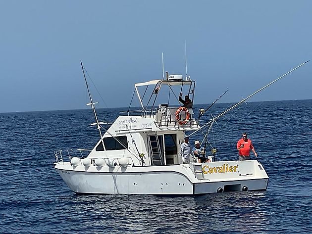 Atún rojo de 800 libras - Pesca Deportiva Cavalier & Blue Marlin Gran Canaria