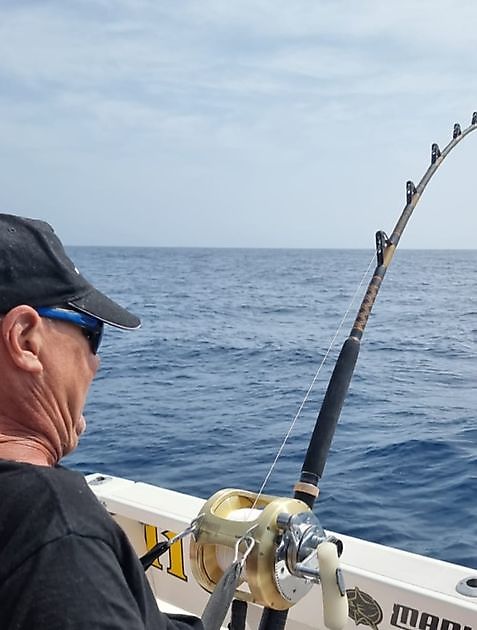 Thon rouge - Cavalier & Blue Marlin Sport Fishing Gran Canaria