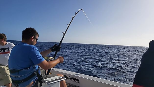 2/3 Tonno rosso Cavalier & Blue Marlin Sport Fishing Gran Canaria