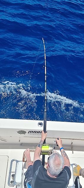 750 Pfund Blauer Marlin - Cavalier & Blue Marlin Sportfischen Gran Canaria