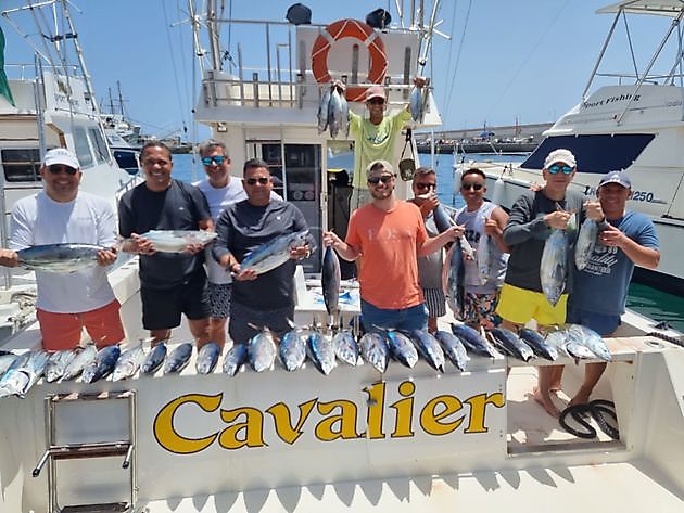 7-8-22 - Tonno striato in abbondanza - Cavalier & Blue Marlin Pesca sportiva Gran Canaria