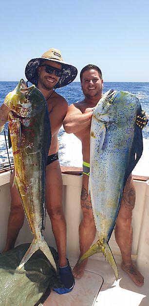 Geelvintonijn / Grootoogtonijn / Wahoo /Dorado - Cavalier & Blue Marlin Sport Fishing Gran Canaria