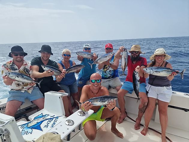 8/10 - Skipjack-Thunfisch - Cavalier & Blue Marlin Sportfischen Gran Canaria