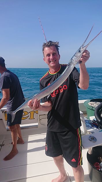 20.11.22 Hornhecht Cavalier & Blue Marlin Sport Fishing Gran Canaria