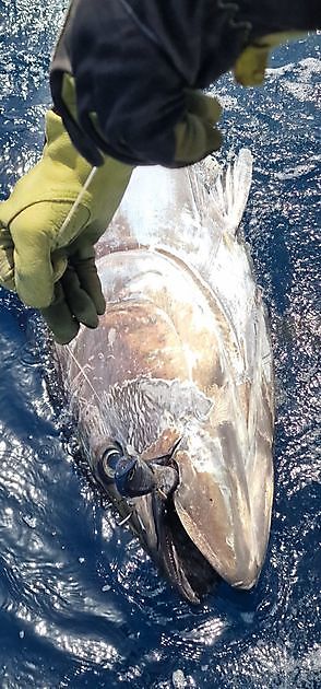 Herzlichen Glückwunsch Freek - Cavalier & Blue Marlin Sport Fishing Gran Canaria