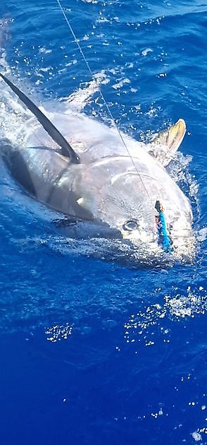 Michael Swift hooked up Cavalier & Blue Marlin Sport Fishing Gran Canaria