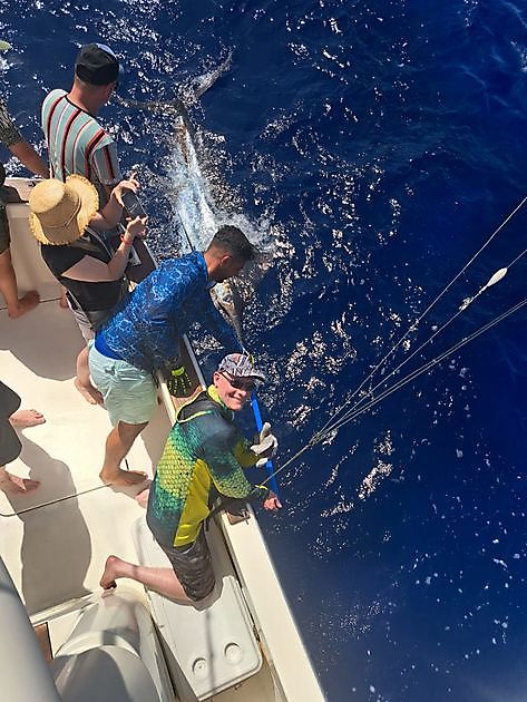 Blue Marlin 3 released 1st Blue Marlin. - Cavalier & Blue Marlin Sport Fishing Gran Canaria