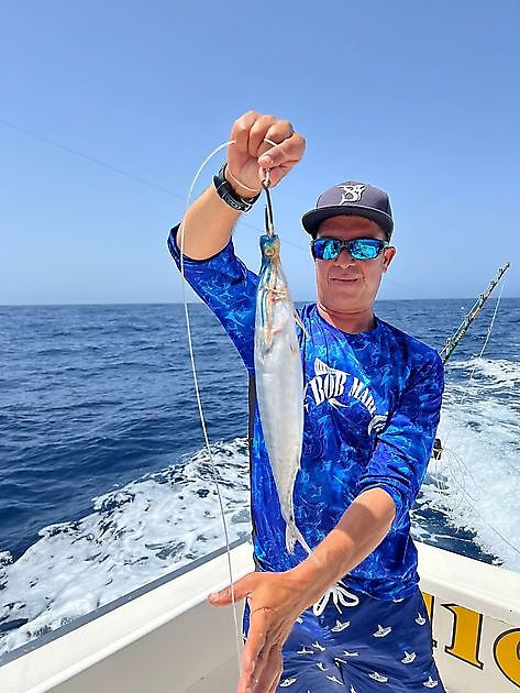 Bait & Switch - Cavalier & Blue Marlin Sport Fishing Gran Canaria