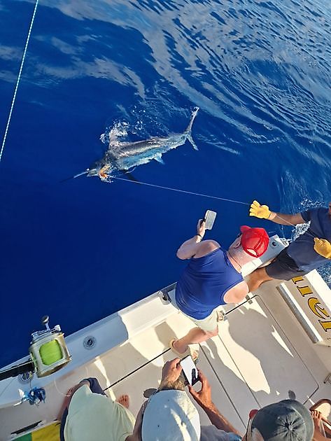 26/5 - Release Me - Cavalier & Blue Marlin Sport Fishing Gran Canaria