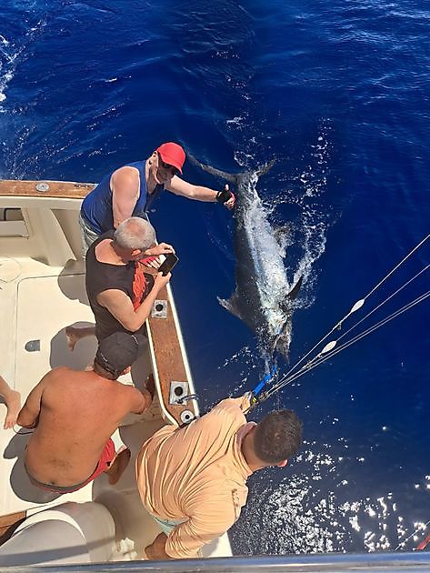 27/5 - Bingooooo💪 Cavalier & Blue Marlin Sport Fishing Gran Canaria