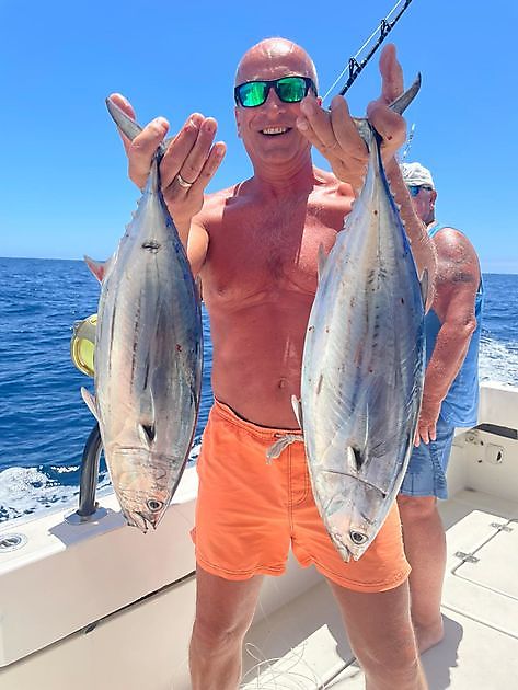 17/6 - Atún listado - Cavalier & Blue Marlin Sport Fishing Gran Canaria