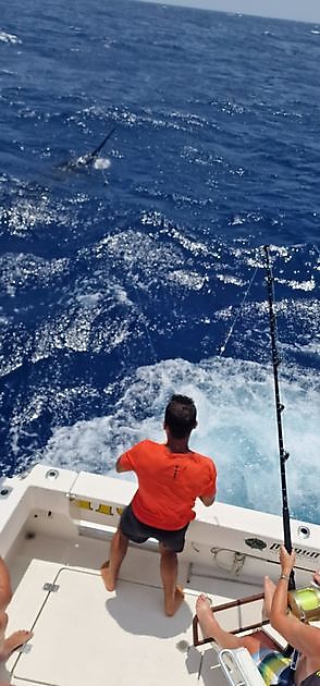 30/6 - Daar gaan we weer - Cavalier & Blue Marlin Sport Fishing Gran Canaria