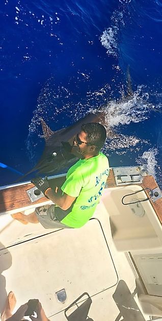 7/9 - HOOK UP!!!!! - Cavalier & Blue Marlin Sport Fishing Gran Canaria