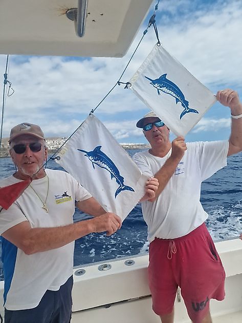 12/9 -  3 Marlines azules liberados hoy!! Cavalier & Blue Marlin Sport Fishing Gran Canaria