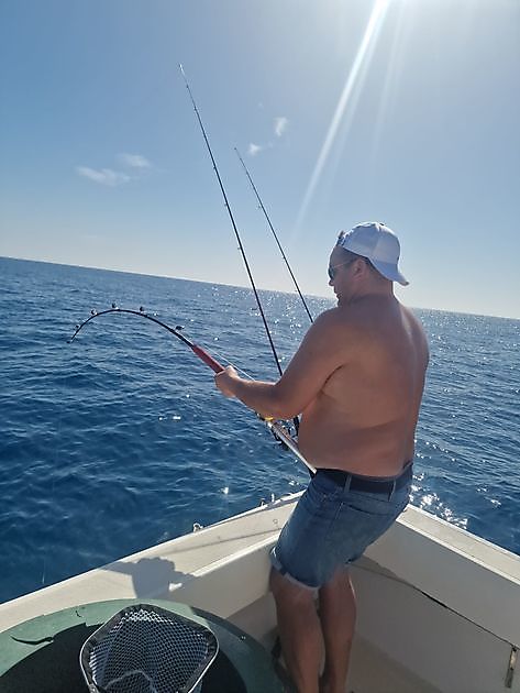 Puerto Rico 20.00 uurREEF FISHINGThe White Marlin and - Cavalier & Blue