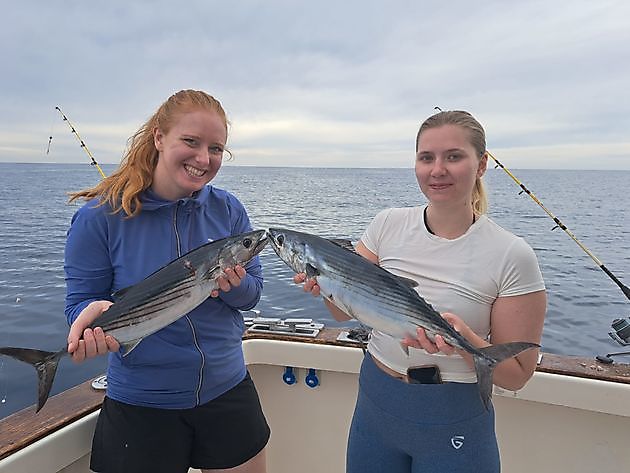 05/12 – SCHÖNE FÄNGE - Cavalier & Blue Marlin Sport Fishing Gran Canaria
