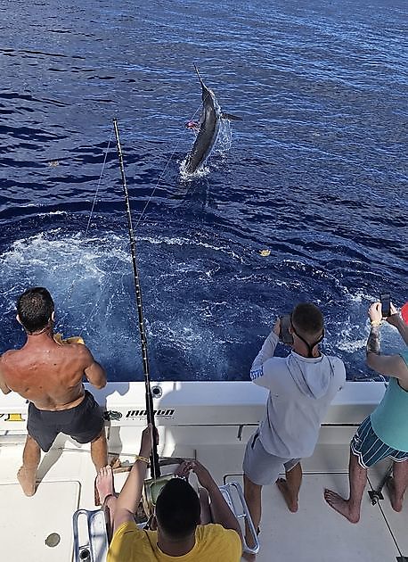 18/05  – DOPPELSCHLAG!! 2 BLAUE MARLINS!! - Cavalier & Blue Marlin Sport Fishing Gran Canaria