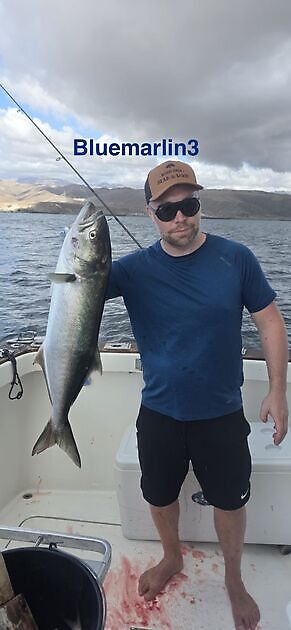 Cavalier & Blue Marlin Sport Fishing Gran Canaria