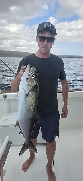 Cavalier & Blue Marlin Sport Fishing Gran Canaria