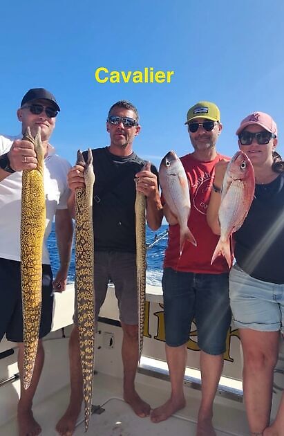 Cavalier & Blue Marlin Sport Fishing Gran Canaria