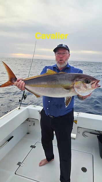 Cavalier & Blue Marlin Sport Fishing Gran Canaria