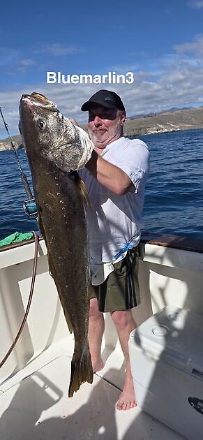 Cavalier & Blue Marlin Sport Fishing Gran Canaria