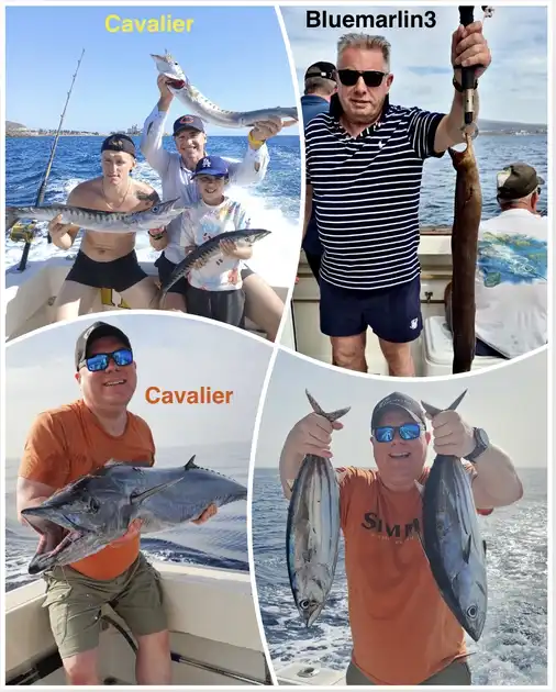 29/11 - Great end of the month!! - Cavalier & Blue Marlin Sport Fishing Gran Canaria