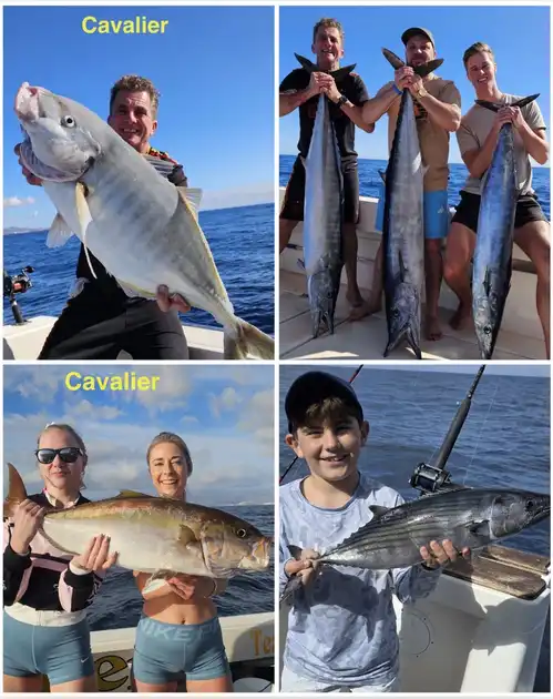 20/12 - Was für ein Tag! Cavalier & Blue Marlin Sport Fishing Gran Canaria
