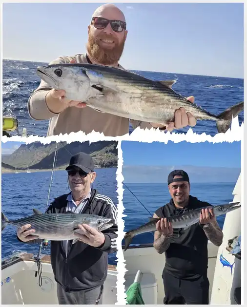 13/01 – Skipjack tuna & barracuda Cavalier & Blue Marlin Sport Fishing Gran Canaria