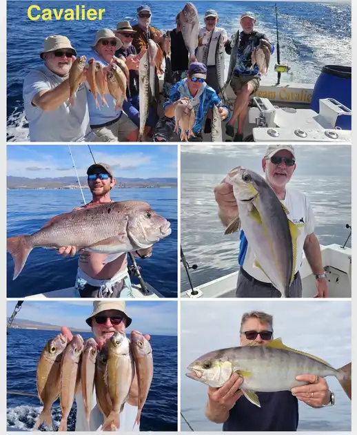 30/01 - Uitstekende dag op zee! Cavalier & Blue Marlin Sport Fishing Gran Canaria