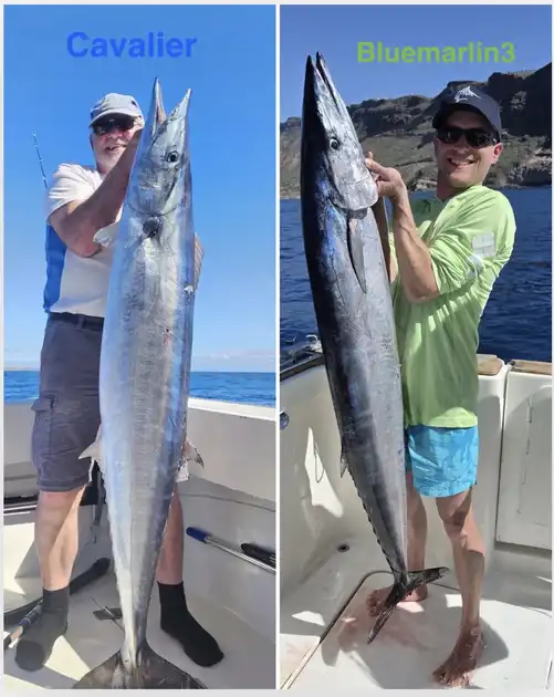 01/02 – ¡Doble captura gigante de petos! Cavalier & Blue Marlin Sport Fishing Gran Canaria
