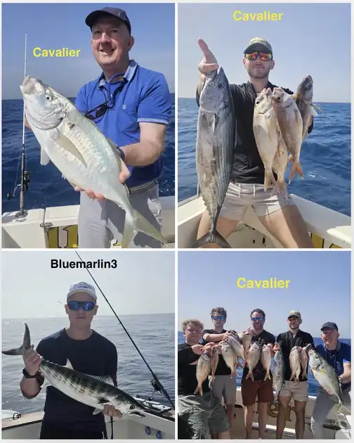 17/02 –  Great fishing continues! - Cavalier & Blue Marlin Sport Fishing Gran Canaria