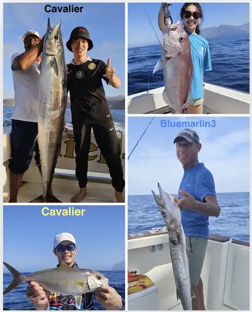 23/02 - New Catches and Plenty of Action! - Cavalier & Blue Marlin Sport Fishing Gran Canaria