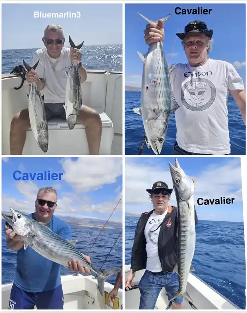 15/03 - BARRACUDAS Y ATUNES LISTADOS - Cavalier & Blue Marlin Sport Fishing Gran Canaria
