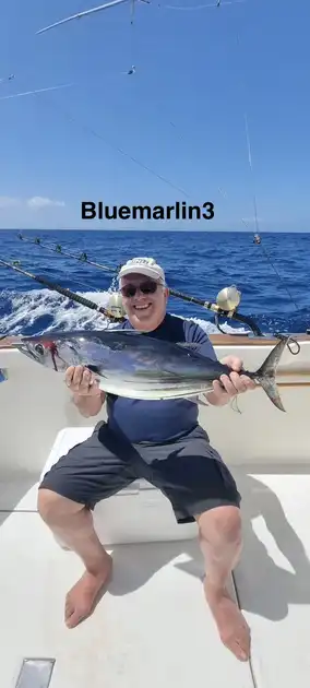 02/04 - Tonijn laat zich niet vangen, maar de actie blijft! Cavalier & Blue Marlin Sport Fishing Gran Canaria
